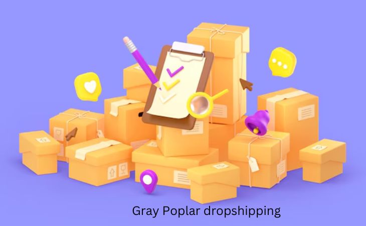 Gray Poplar Dropshipping Business: A Complete Guide
