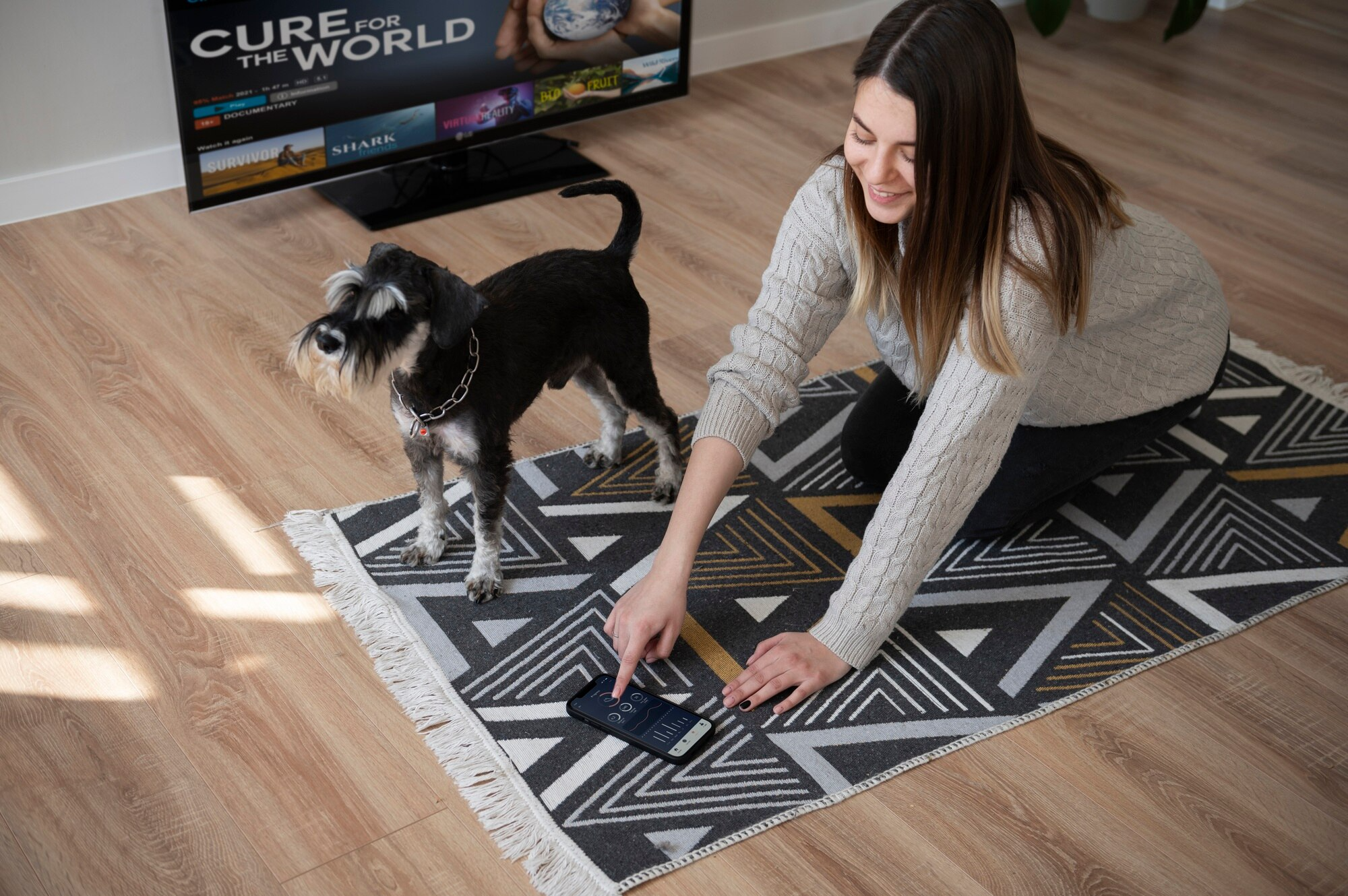 Best Rugs for Pet Owners Living in Apartments